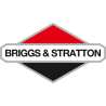 Briggs & Stratton
